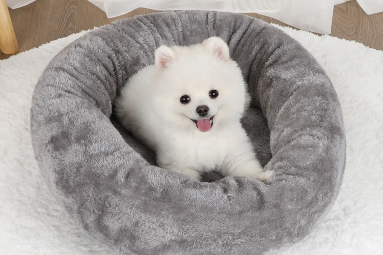 Supportive donut bed for pets with arthritis