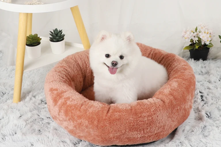 Orthopedic bed for small pets